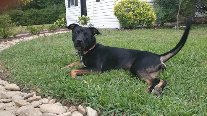 Spay Today, Inc. Picture 9