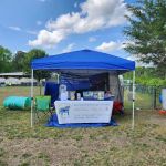 Homestead Veterinary Rehab & House Calls, PLLC