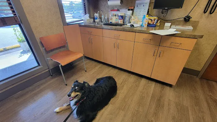 East Carolina Veterinary Service Picture 2