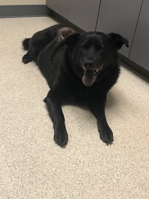 Tenth Street Animal Hospital Picture 3