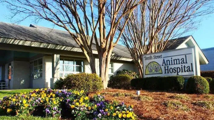 Tenth Street Animal Hospital Picture 2