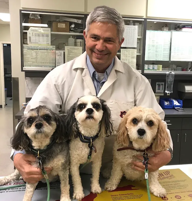 Tenth Street Animal Hospital Picture 10