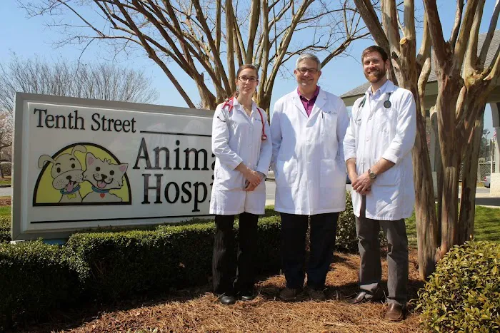 Tenth Street Animal Hospital Picture 9