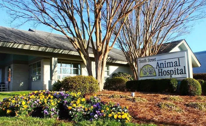 Tenth Street Animal Hospital Picture 8