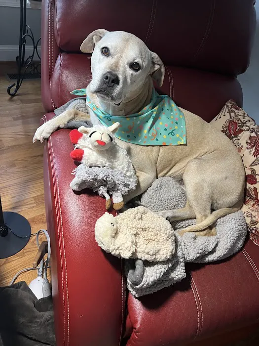 Tenth Street Animal Hospital Picture 5