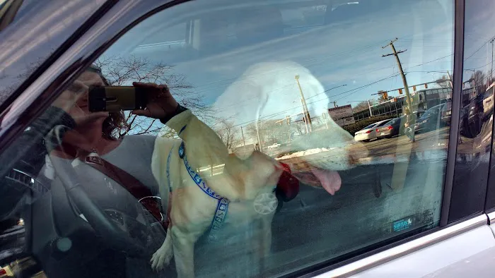 Newport News Animal Hospital Picture 9