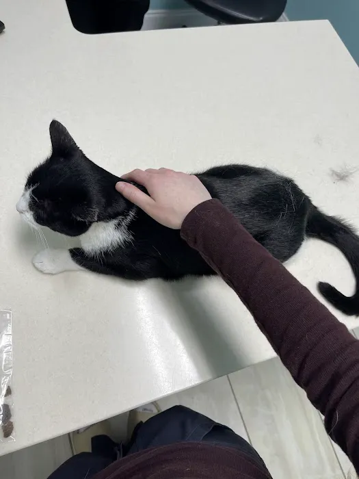Newport News Animal Hospital Picture 5