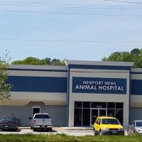 Newport News Animal Hospital ico