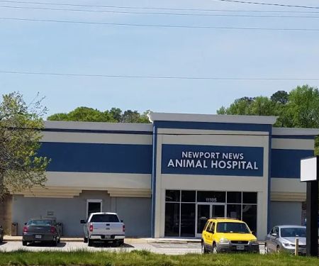 Newport News Animal Hospital