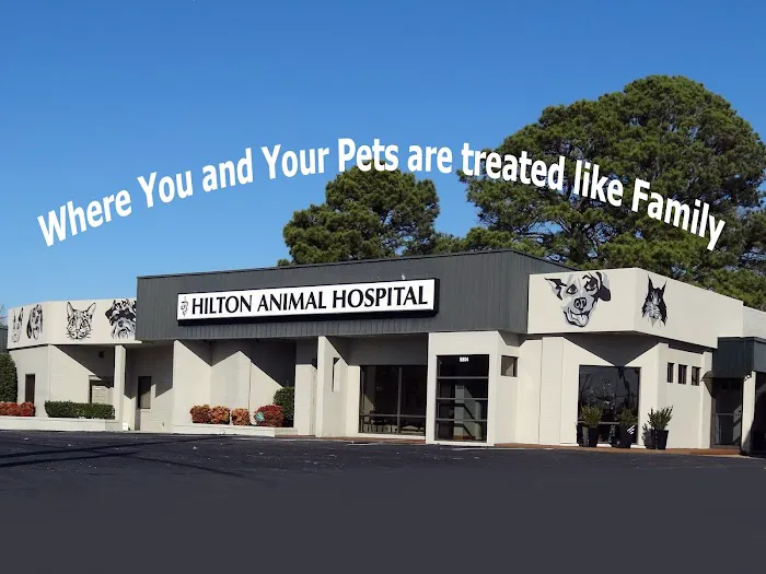 Hilton Animal Hospital Picture 1