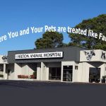 Hilton Animal Hospital