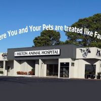 Hilton Animal Hospital ico