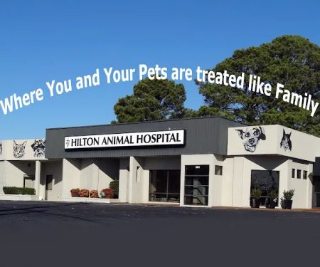 Hilton Animal Hospital