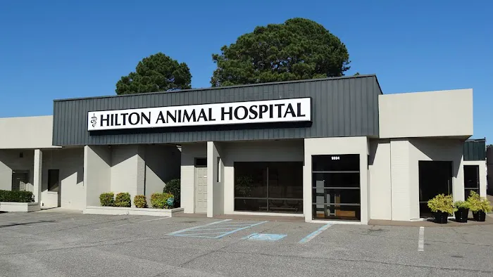 Hilton Animal Hospital Picture 6