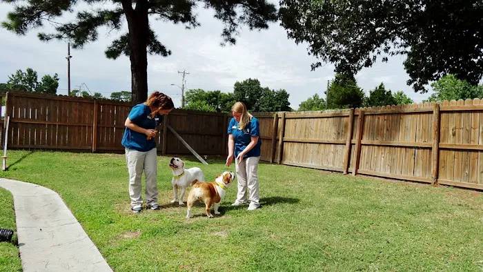 Hilton Animal Hospital Picture 8