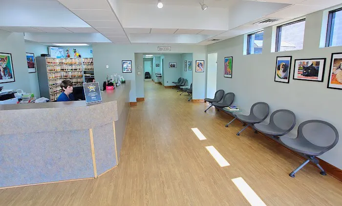 Hilton Animal Hospital Picture 7