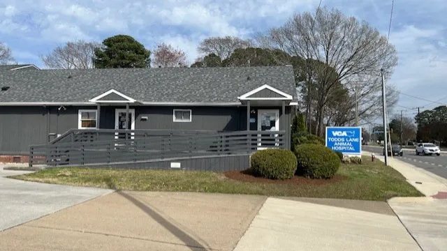 VCA Todds Lane Animal Hospital Picture 3