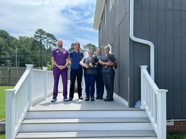 VCA Todds Lane Animal Hospital Picture 10