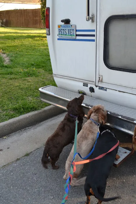 Creature Comfort Mobile Vet Picture 1