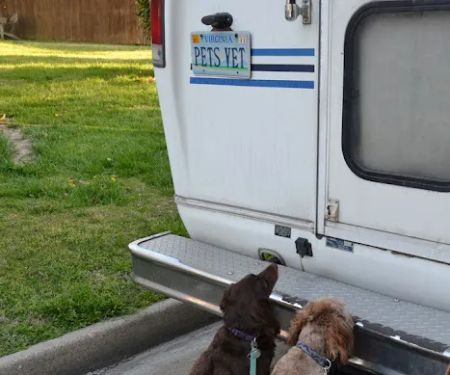Creature Comfort Mobile Vet
