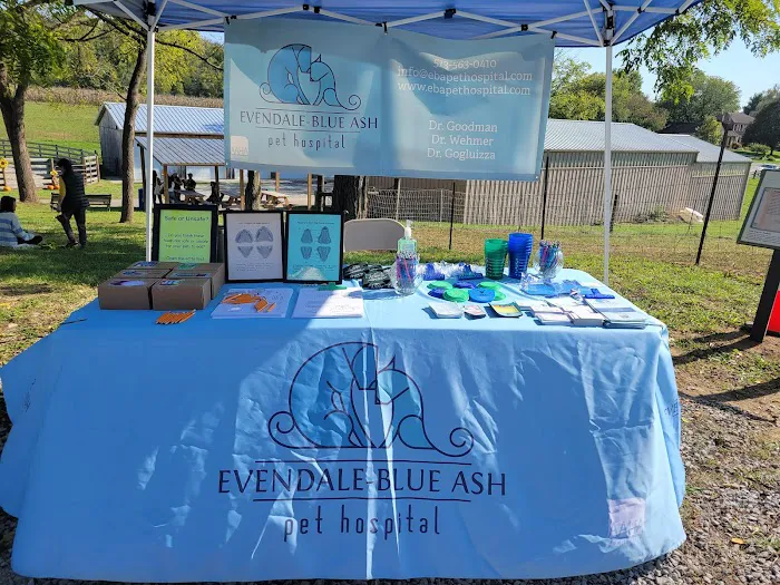 Evendale-Blue Ash Pet Hospital Picture 1