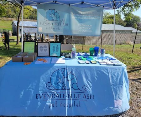 Evendale-Blue Ash Pet Hospital