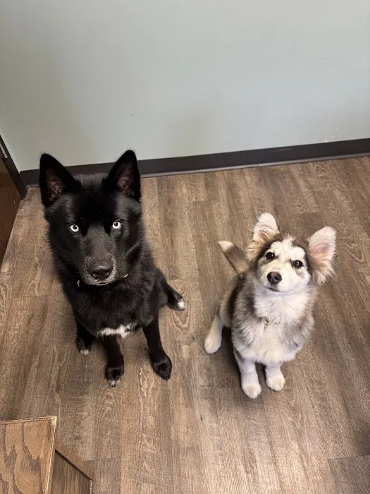 Evendale-Blue Ash Pet Hospital Picture 2