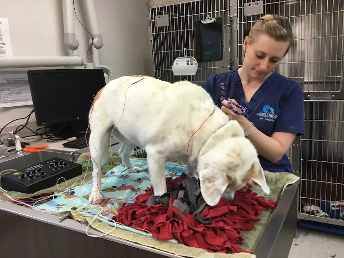 Evendale-Blue Ash Pet Hospital Picture 5
