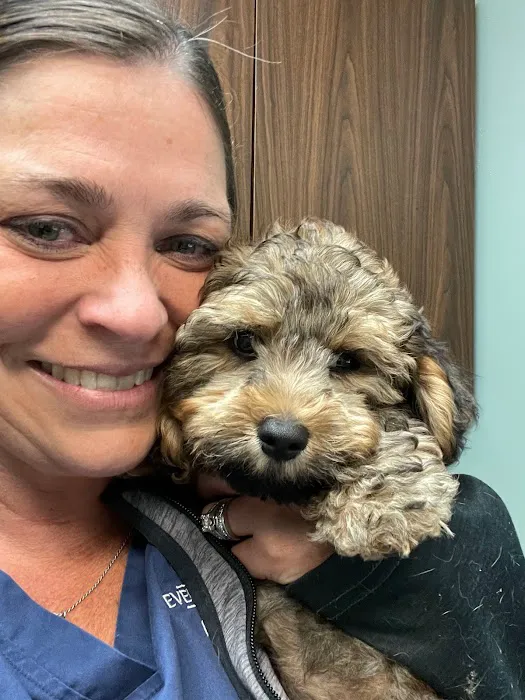 Evendale-Blue Ash Pet Hospital Picture 9