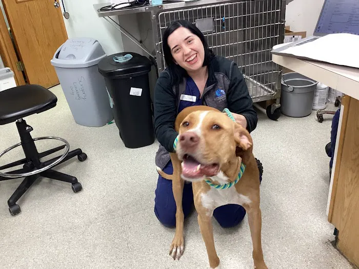 Evendale-Blue Ash Pet Hospital Picture 10