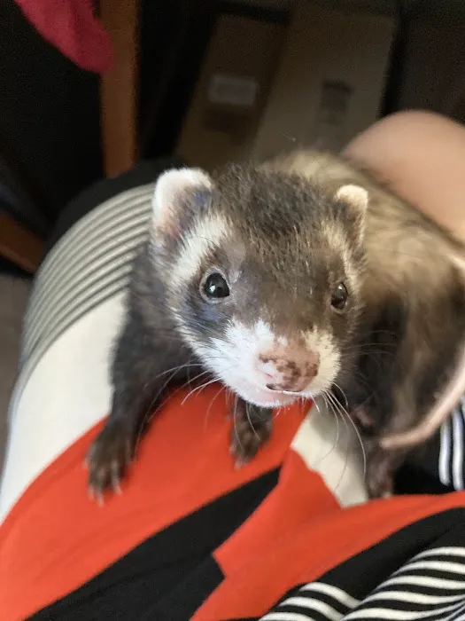 All Creatures Veterinary Clinic Picture 1