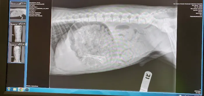 Greater Cincinnati Veterinary Specialists and Emergency Services Picture 4