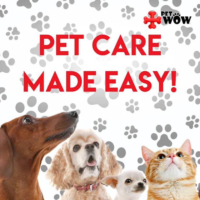 PetWow Home Veterinary Care Picture 10