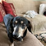 NKY Animal Care Center