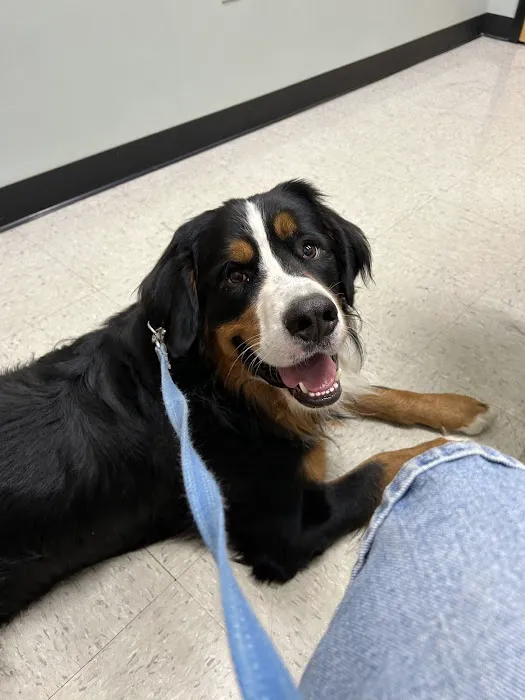 NKY Animal Care Center Picture 4