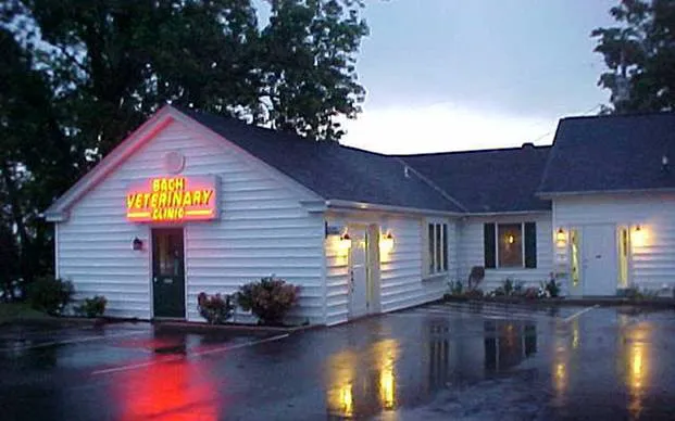 Bach Veterinary Clinic Picture 3