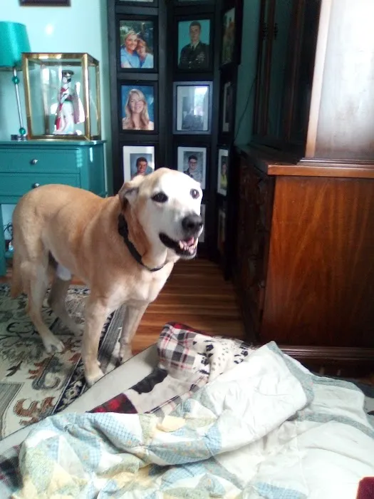 Bach Veterinary Clinic Picture 6