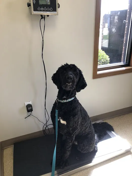 Veterinary Medical Center of Independence Picture 4
