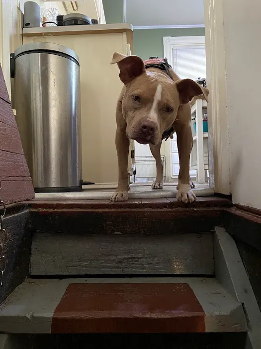 Veterinary Medical Center of Independence Picture 6