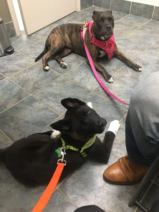 Heekin Animal Hospital Picture 5