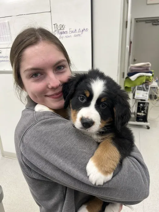 Heekin Animal Hospital Picture 8