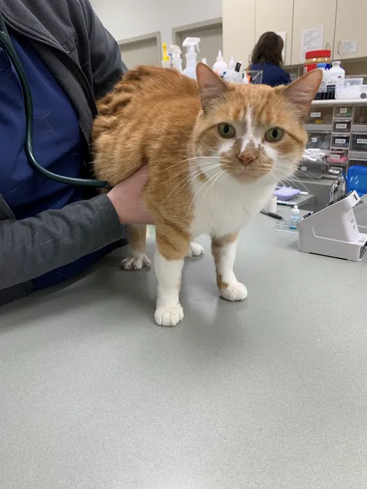 Heekin Animal Hospital Picture 7