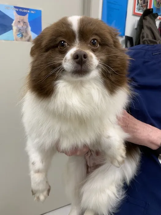 Heekin Animal Hospital Picture 2