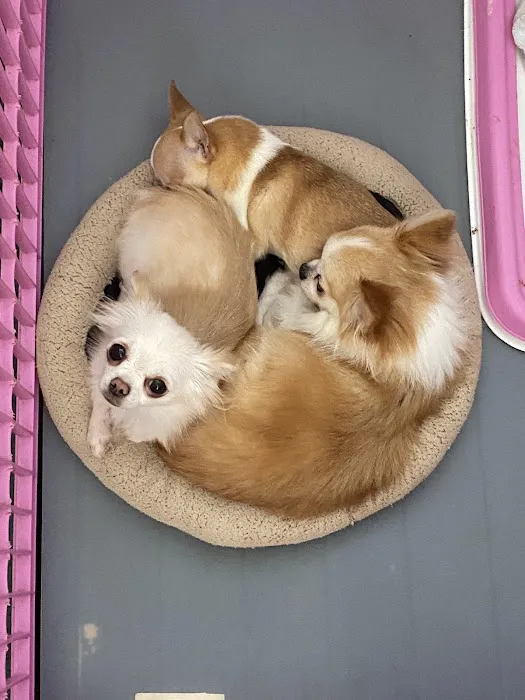 Fort Thomas Animal Hospital Picture 8
