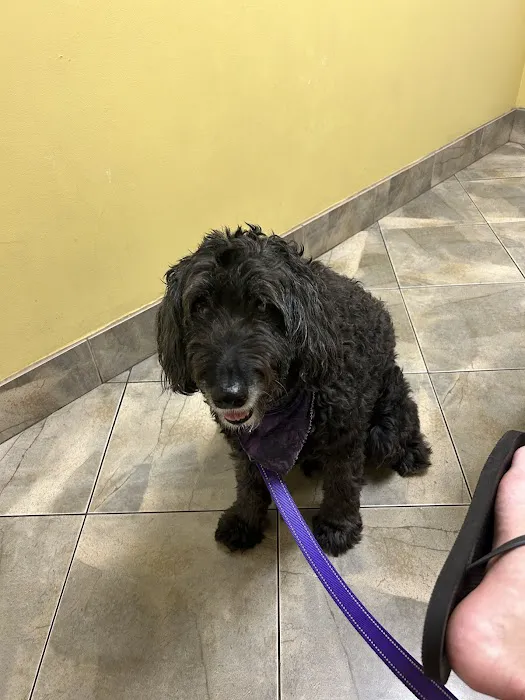 Fort Thomas Animal Hospital Picture 6