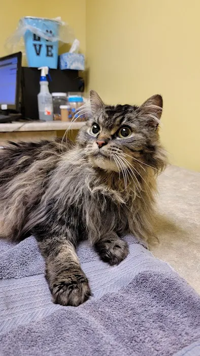 Fort Thomas Animal Hospital Picture 10