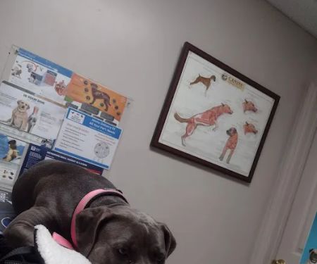 Paris Veterinary Clinic, PLC