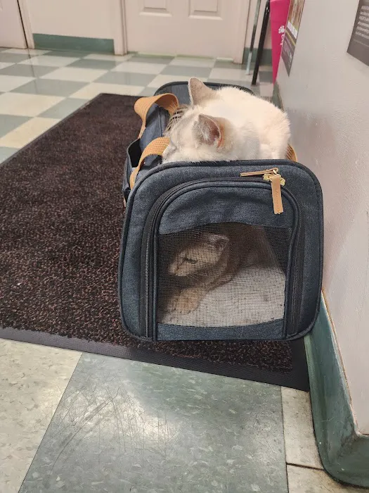 Paris Veterinary Clinic, PLC Picture 4