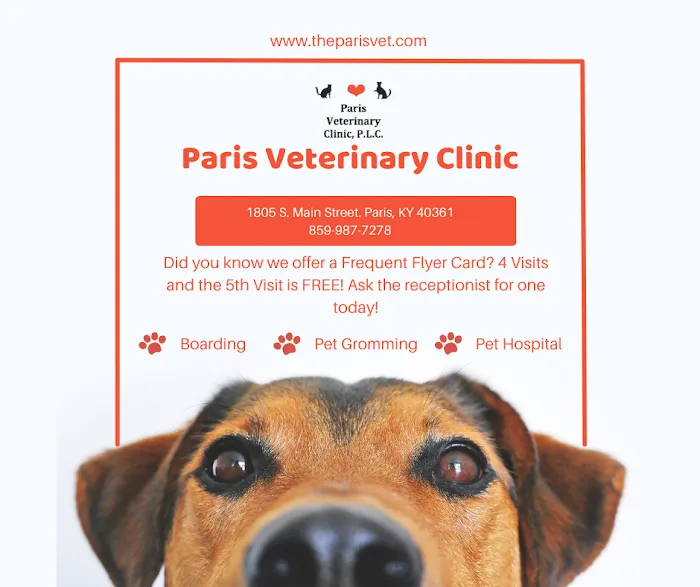 Paris Veterinary Clinic, PLC Picture 3