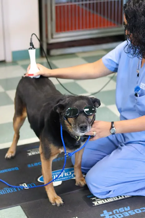 Paris Veterinary Clinic, PLC Picture 10